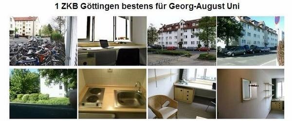 1 Zimmer Wohnung 37075  Göttingen Nordstadt EBK möbl Immobilien 3