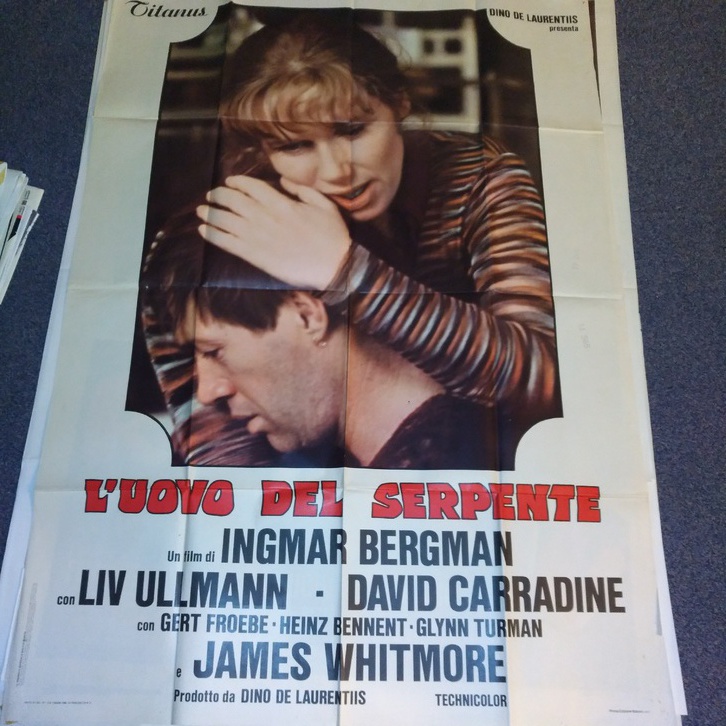 1977 Ingmar Bergman Das Schlangenei schweizer Groß Plakat 1977 Ingmar Bergman Das Schlangenei schweizer Groß Plakat Sammeln