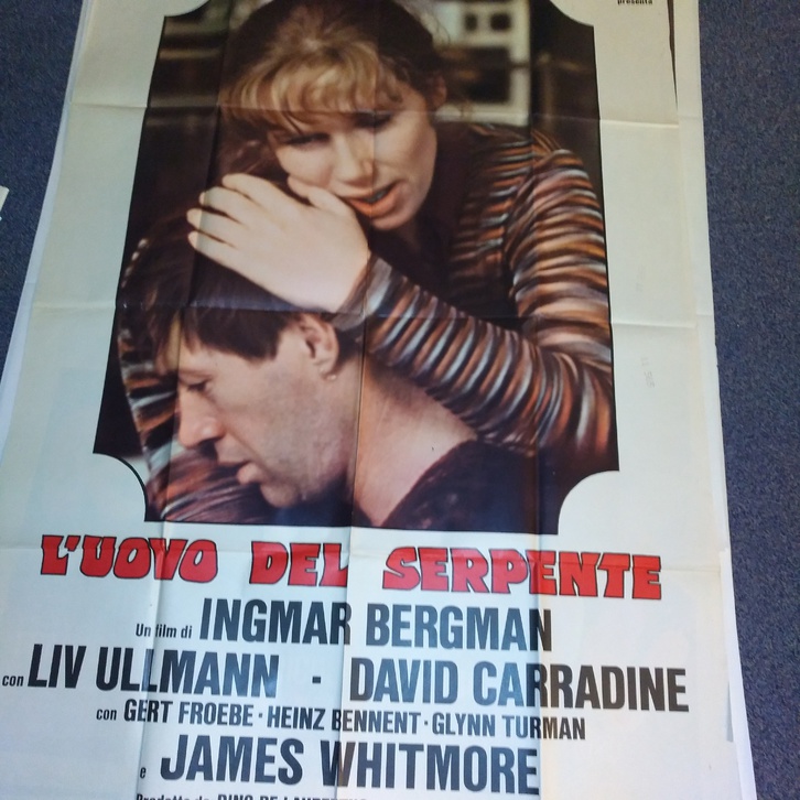 1977 Ingmar Bergman Das Schlangenei schweizer Groß Plakat 3 1977 Ingmar Bergman Das Schlangenei schweizer Groß Plakat Sammeln 3