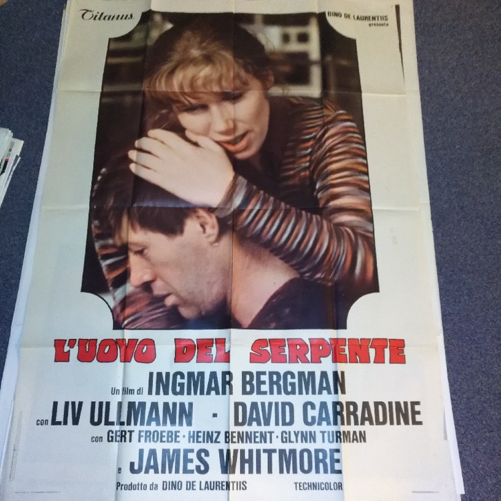 1977 Ingmar Bergman Das Schlangenei schweizer Groß Plakat 4 1977 Ingmar Bergman Das Schlangenei schweizer Groß Plakat Sammeln 4