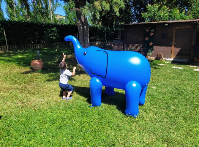 Aufblasbarer Elefanten Sprinkler für Garten Kinder Pool Sommer Wasser Spielzeug XXL Badi Abholbereit Spielzeuge & Basteln 3