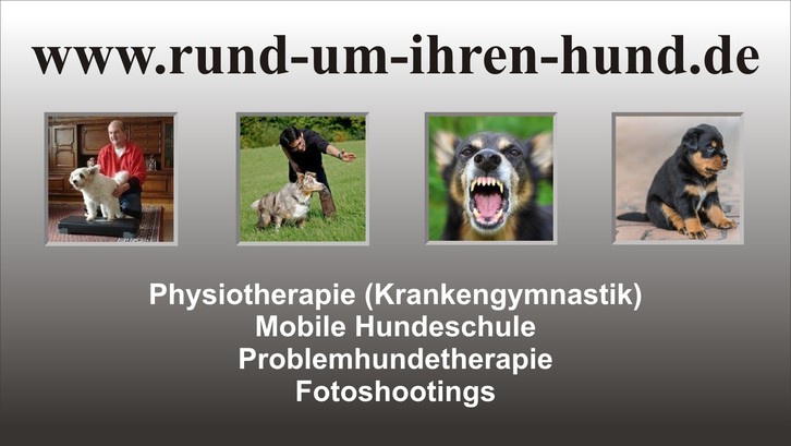 Hundeschule, Problemhunde, Hundephysiotherapie, Fotoshootings Tiere