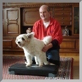 Hundeschule, Problemhunde, Hundephysiotherapie, Fotoshootings 4 Hundeschule, Problemhunde, Hundephysiotherapie, Fotoshootings Tiere 4