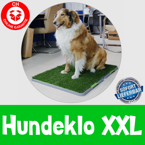 Hundetoilette Hundeklo Welpen Hunde Klo Wc Toilette Kunstgras Stubenrein 68x86cm XXL Grösse Stubenrein Hundetoilette Hundeklo Welpen Hunde Klo Wc Toilette Kunstgras Stubenrein 68x86cm XXL Grösse Stubenrein Tiere