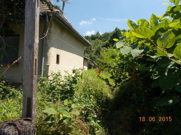 Ungarn - Somogy -Steinhaus zum renovieren usw.1000qm Immobilien