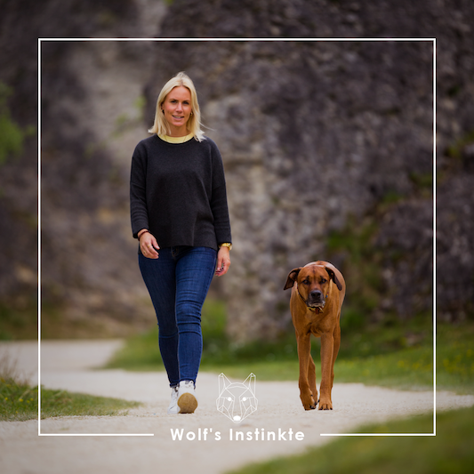 Wolf's Instinkte - Deine Hundeschule 2 Wolf's Instinkte - Deine Hundeschule Tiere 2