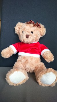 Teddybär sucht ein neues Zuhause