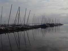 Liegeplätze für Boote am Steinhuder Meer<br><br>Am Nordufer des Steinhuder Meeres ( Mardorf / S
