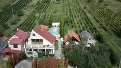 Das Angebot eines sehr schönen Anwesens mit eigenem Weinberg in Vinica / Slowakei.<br><br>Auf de